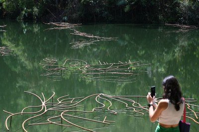 Visitante fotografa instala&ccedil;&atilde;o art&iacute;stica no Instituto Inhotim, em Brumadinho, um dos destinos que combinam arte e natureza perto de BH. -  (crédito: Leandro Couri/EM/D.A.Press)