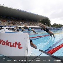 CBDA e Yakult do Brasil renovam parceria para a natação -  Satiro Sodr?/CBDA