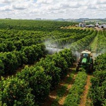 Gulf participa da Bahia Farm Show com produtos certificados -  User