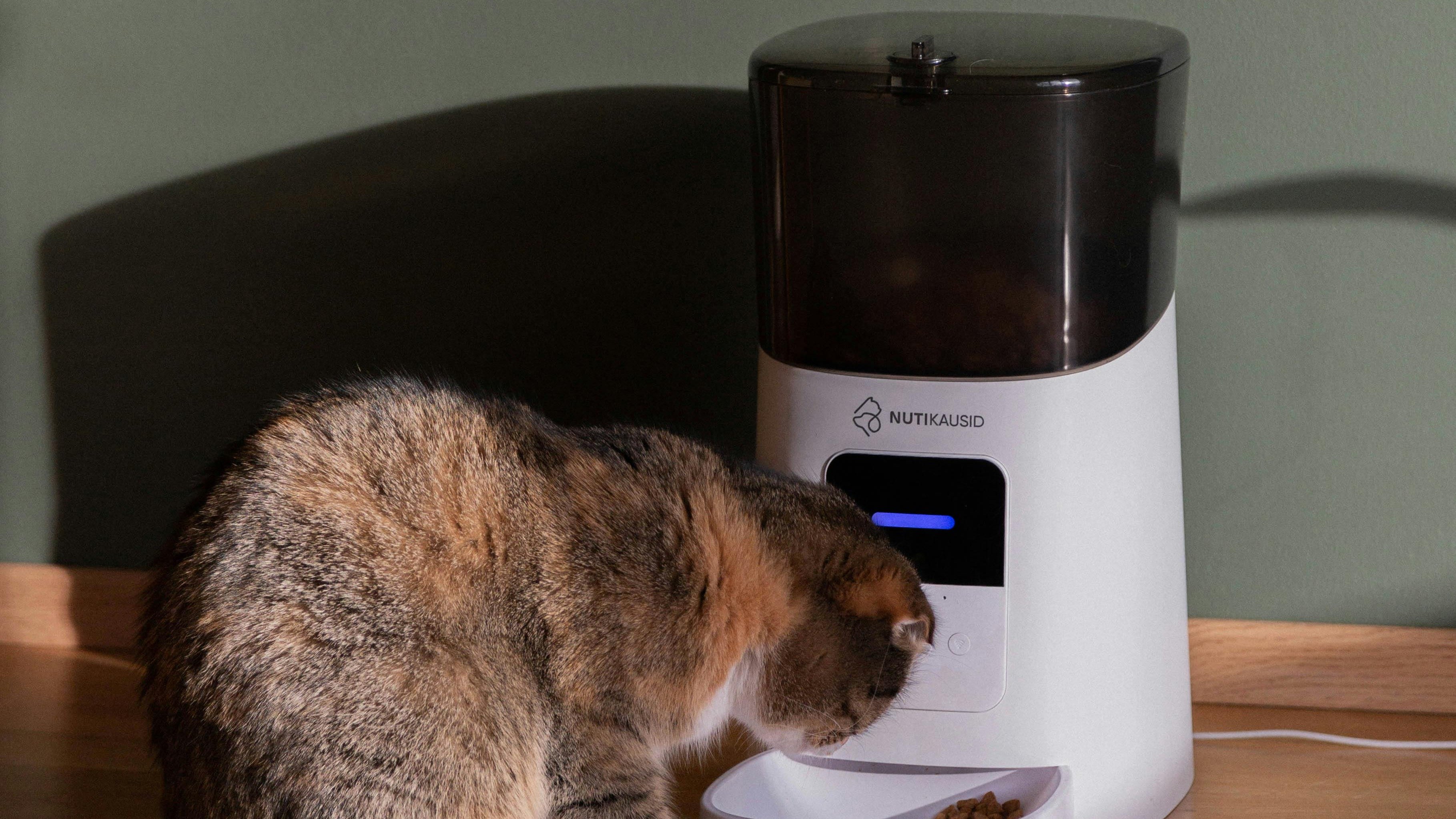 Robôs em casa: 7 gadgets que podem limpar, cozinhar e te ajudar no dia a dia - Unsplash/ Merili M