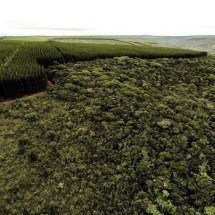 Setores produtivos ampliam ações ambientais em Minas Gerais - DINO