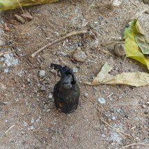 Granada é encontrada em terreno vago no interior de MG - PMMG