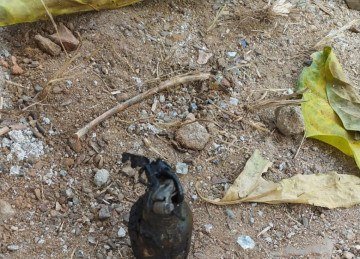 Granada é encontrada em terreno vago no interior de Minas -  (crédito: PMMG)