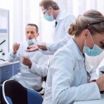 Descoberta na Uncaria tomentosa revela como a mitrafilina pode induzir morte de células cancerígenas com precisão molecular - Portal Giro 10