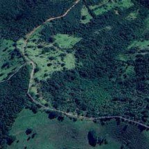 Desmatamento volta a avançar em Minas, agora com dano ambiental duplicado - Reprodução/Google Earth