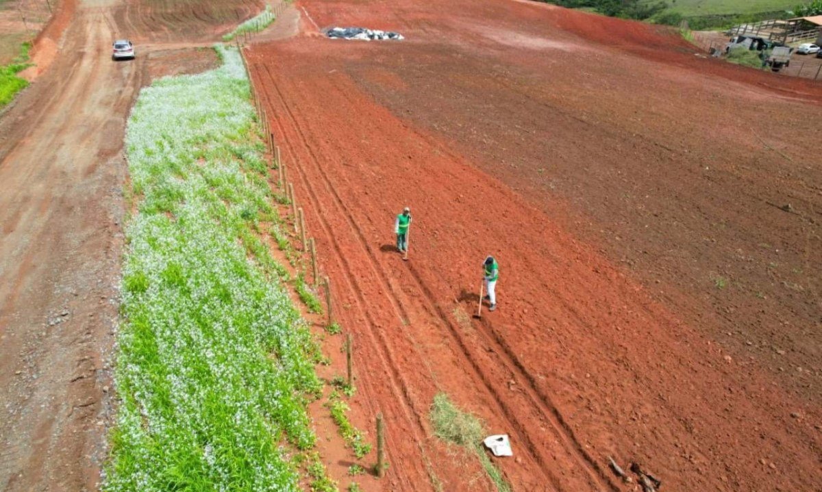 Ivoti Ambiental