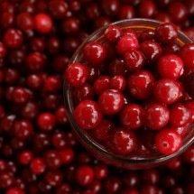 Cranberry ganha espaço como aliado na saúde - DINO