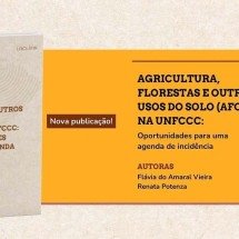 LACLIMA examina uso da terra no regime climático global - DINO