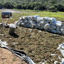 Plantio de maconha tinha máquina "exclusiva" para o processamento da droga - Polícia Civil/divulgação