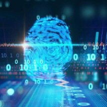 O fim das senhas? A ascensão da biometria comportamental que identifica usuários pelo comportamento digital - Portal Giro 10