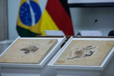 A recuperação de dinossauros e de patrimônios fortalece a ciência brasileira, segundo avaliação de especialistas -  (crédito: Joédson Alves/Agência Brasil)