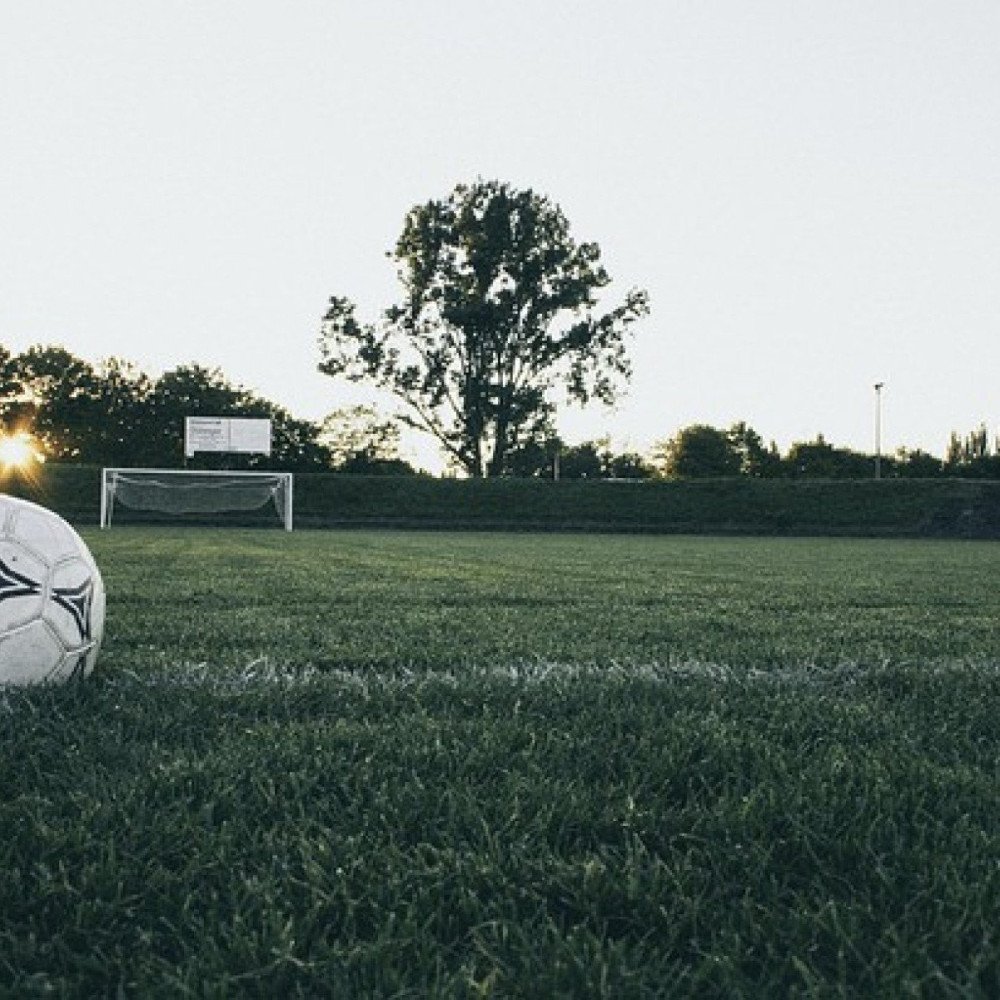 A bioquímica do gol: por que a gente explode de alegria? ⚽🧪