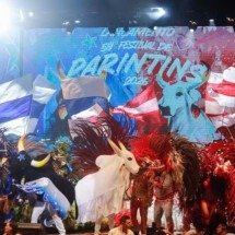 Festival de Parintins 2026: datas, bois e a disputa que para o Amazonas - Portal Giro 10