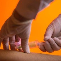 Governo suspende vacina da dengue feita pelo Butantan - Leo Lara/Arvore de Comunicacao