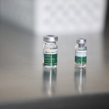 Minas aplicou mais de 82 mil doses da vacina contra dengue do Butantan - Edesio Ferreira/EM/D.A Press