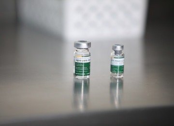 Nova descoberta de cientistas brasileiras foca em prote&iacute;nas internas do parasita para criar imunizante eficaz contra todas as variantes da doen&ccedil;a -  (crédito: Edesio Ferreira/EM/D.A Press)