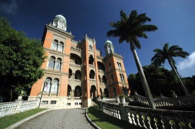 A força-tarefa reúne instituições como a Universidade Federal Rural do Rio de Janeiro (UFRJ), a Fundação Oswaldo Cruz (Fiocruz), o Conselho Regional de Medicina Veterinária do Estado do Rio de Janeiro (CRMV-RJ), o Instituto Boto Cinza e a Prefeitura de Mangaratiba. -  (crédito: Andre Az/Fiocruz)