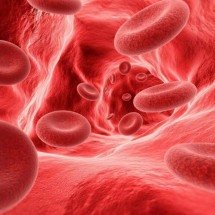 Deficiência de vitamina B12: como identificar os sintomas, entender as causas e prevenir riscos para o sistema nervoso e a saúde em geral - Portal Giro 10