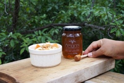 Produzido na Serra do Cipo (MG), o mel do  Apiário Âmbar se destacou em premiação nacional  -  (crédito: Apiário Âmbar/Divulgação )