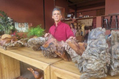 Artesão Alcimar da Assunção Moreira apresenta peças feitas com raízes de árvores na 'Bendita Feira' -  (crédito: Luiz Ribeiro/Em Data/DA Press)