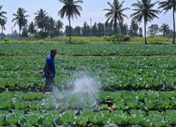 Os humanos são frequentemente expostos por anos a uma mistura de vários produtos químicos - (crédito: Getty Images) Os humanos são frequentemente expostos por anos a uma mistura de vários produtos químicos - (crédito: Getty Images)