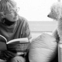 'Pequenas glórias': a ecopoesia de Mary Oliver finalmente em português - Reprodução/Instagram