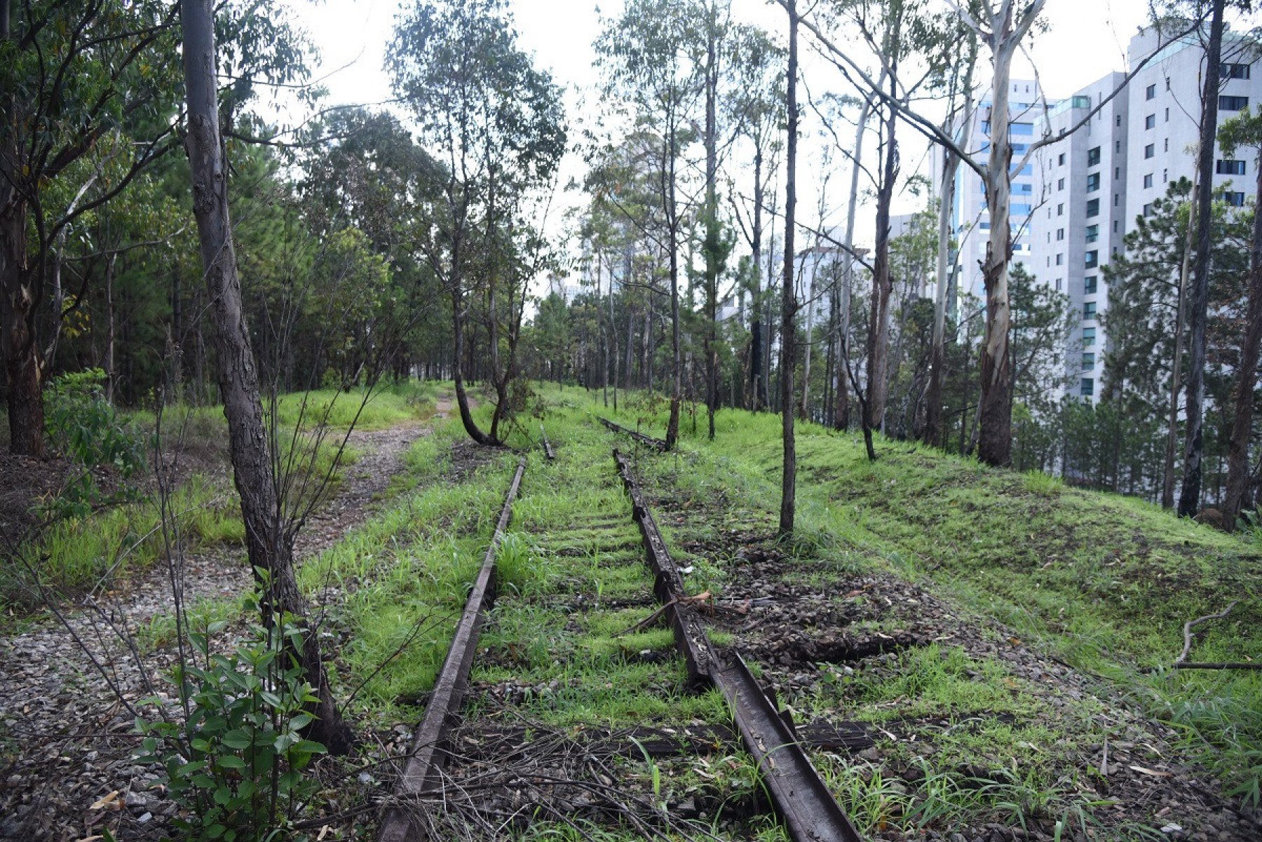 Governo Federal formaliza cessão de terreno de ferrovia para BH e Nova Lima