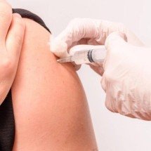 Iniciativa global avança em vacina contra chikungunya e prevê transferência de tecnologia para produção local - Portal Giro 10