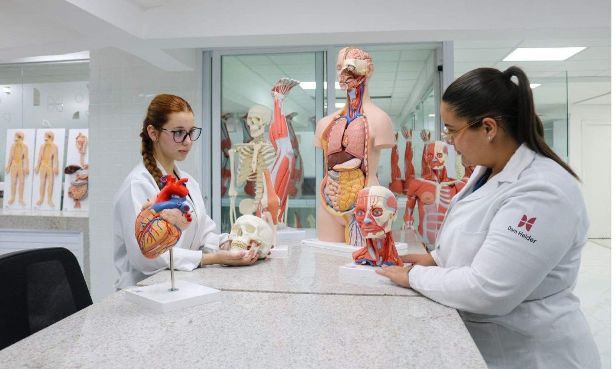 Metodologia personalizada e conexão internacional reforçam proposta acadêmica da Dom Helder voltada às transformações do mercado global- Divulgação Dom Helder
