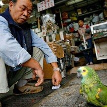 Por que dominar 'agachamento asiático' é fundamental para a saúde - Getty Images