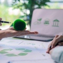 Cidades Esponja: como parques, jardins e ruas verdes ajudam a reduzir enchentes e salvar metrópoles das chuvas extremas - Portal Giro 10