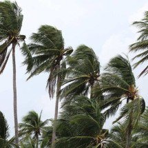 Furacão ou ciclone? Veja como essas grandes tempestades são classificadas no planeta - Portal Giro 10