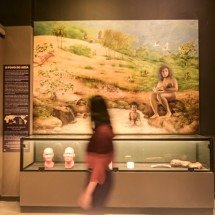 Maior exposição sobre evolução humana do Brasil chega a BH  - Leandro Couri/EM/D.A. Press