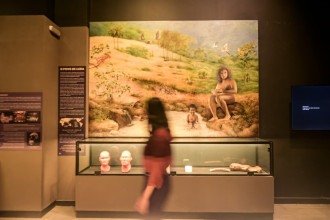 Maior exposição sobre evolução humana do Brasil chega a BH 