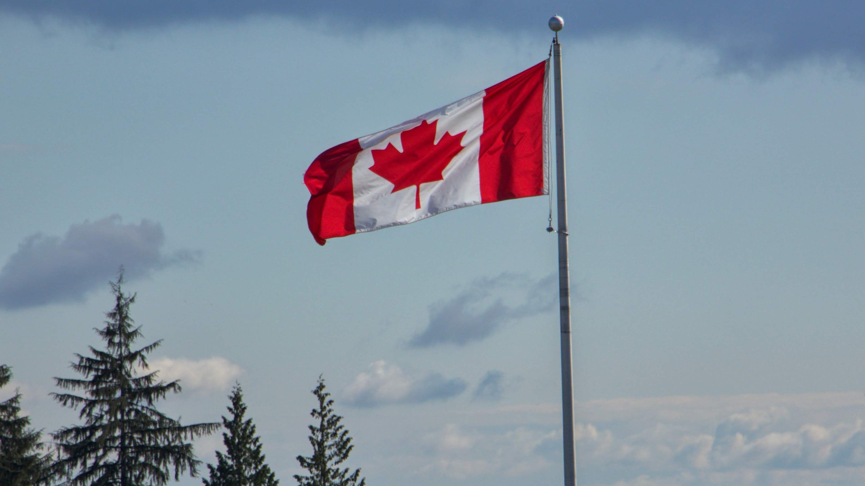 Visto para o Canadá: brasileiros precisam? Veja regras e como solicitar - Pexels/ Guru _Clics