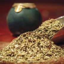 Como funciona a produção da erva-mate nas ervateiras - Portal Giro 10