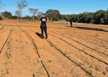 Terreno foi preparado para o plantio irrigado de maconha em Una&iacute; antes da chegada da Pol&iacute;cia Civil -  (crédito: Pol&iacute;cia Civil/divulga&ccedil;&atilde;o)