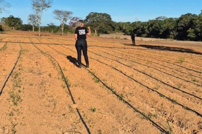 Terreno foi preparado para o plantio irrigado de maconha em Una&iacute; antes da chegada da Pol&iacute;cia Civil -  (crédito: Pol&iacute;cia Civil/divulga&ccedil;&atilde;o)