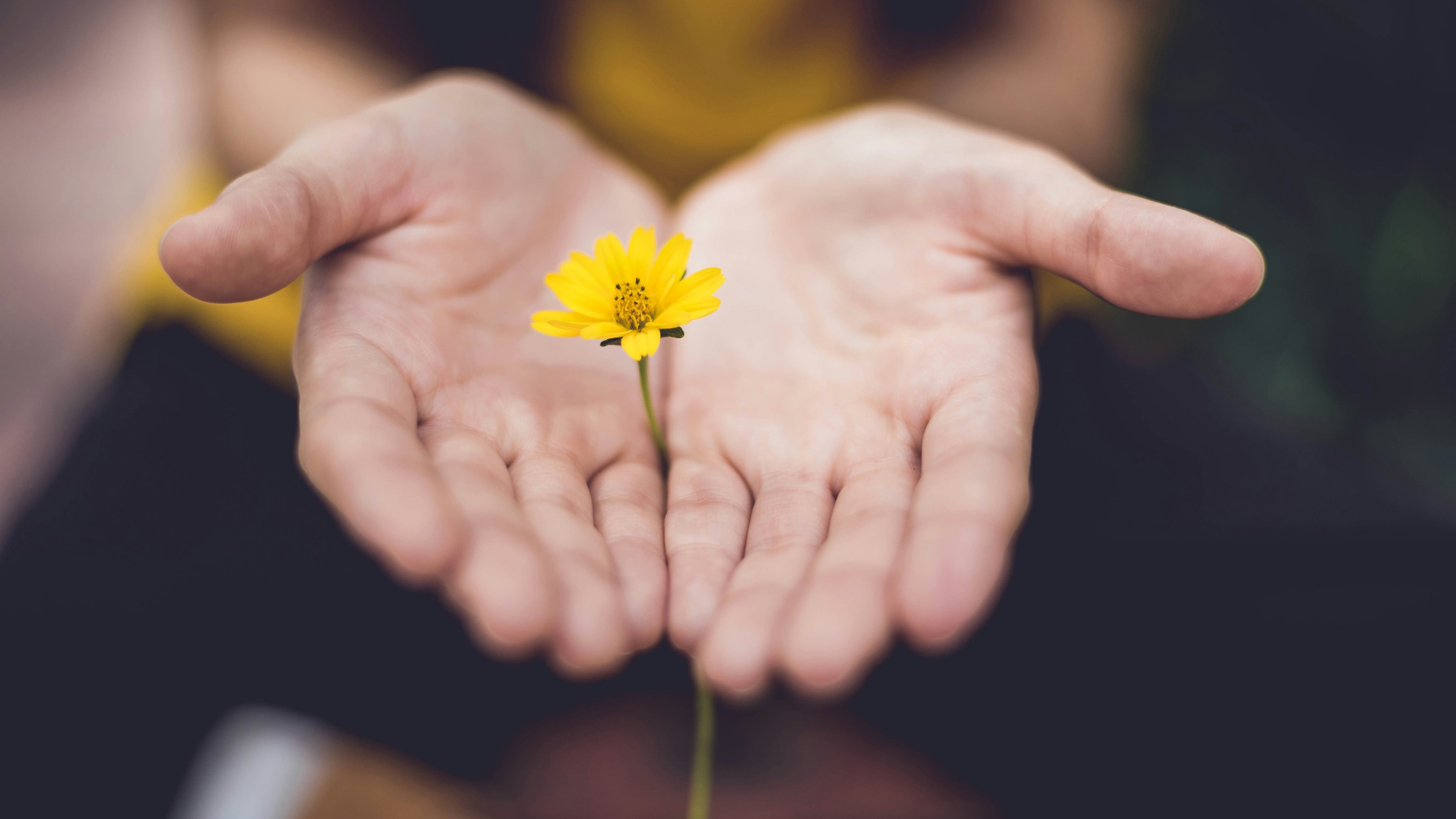 Como cuidar da saúde mental de quem você ama: guia prático - Unsplash/ Lina Trochez