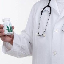 Uso de cannabis pode aumentar risco de surtos psicóticos, dizem revisões científicas - Portal Giro 10