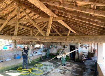 Polícia Civil com apoio da Polícia Ambiental e da Vigilância Sanitária fecha abatedouro clandestino. -  (crédito: PCMG)