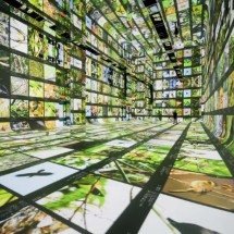 Museu de IA, em Los Angeles, oferece imersão sensorial na Amazônia - Refik Anadol Studio/Reprodução