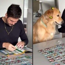 Cachorrinha ajuda tutor a abrir pacotinhos do álbum da Copa e encanta a web