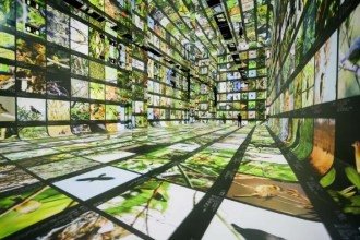 Museu de IA, em Los Angeles, oferece imersão sensorial na Amazônia