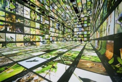 Dataland -  (crédito: Refik Anadol Studio/Reprodução)