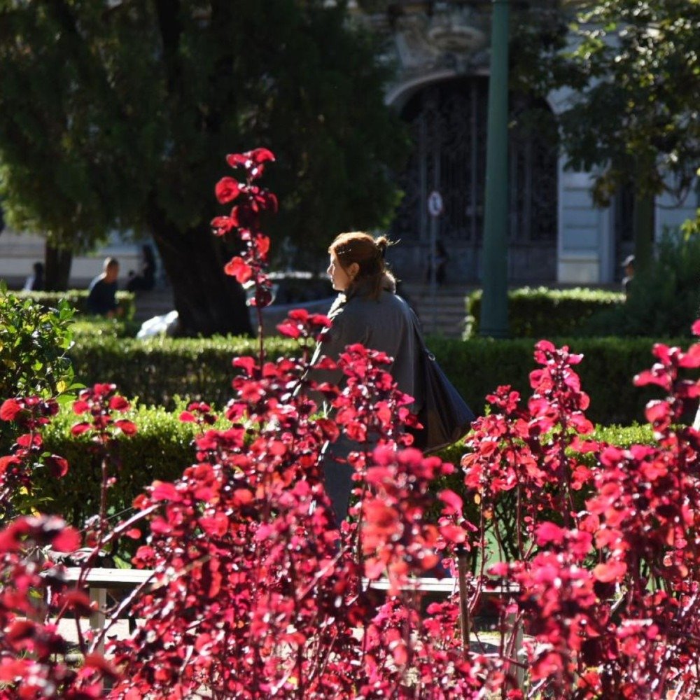 Frio em BH: confira como fica o tempo nesta quinta-feira