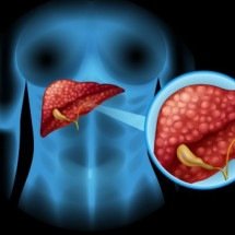 Como o organismo se adapta a dieta com muita proteína e nenhum carboidrato  - Brgfx/Magnific