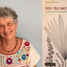 Guimarães Rosa observou as belezas sem dono do sertão  - Vitor Azevedo Oliveira/Divulgação e Editora UFMG/Reprodução