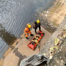 Potro cai no Rio Arrudas, tem grave ferimento e é sacrificado - CMMG/Divulgação