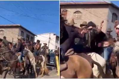 Agressões aconteceram no último sábado (20/6) -  (crédito: Redes sociais/Reprodução)